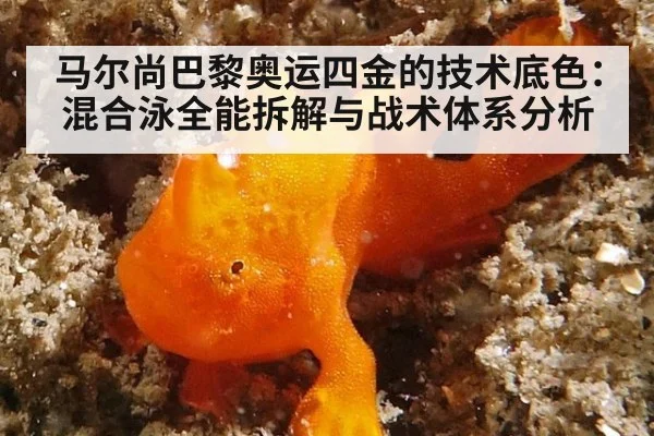 马尔尚巴黎奥运四金的技术底色:混合泳全能拆解与战术体系分析