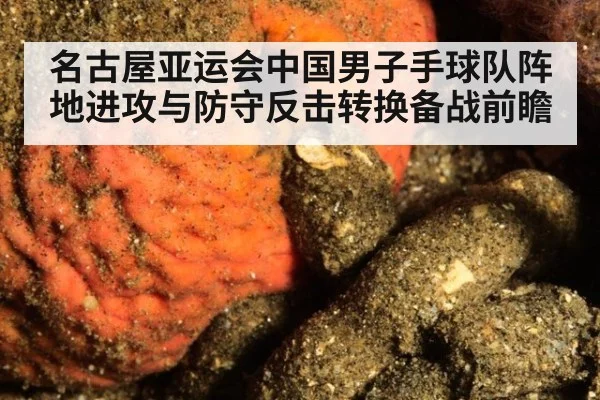 名古屋亚运会中国男子手球队阵地进攻与防守反击转换备战前瞻